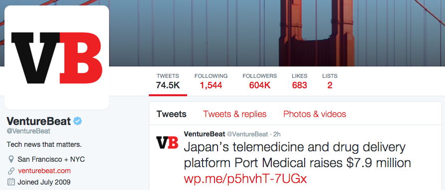Social Media Profiles Example - Verified Twitter Profile